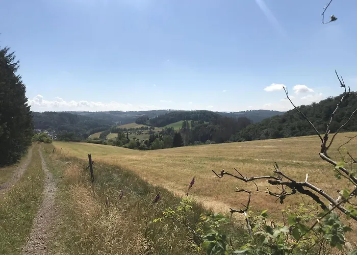 Schwedenhaus Uplandalm Willingen